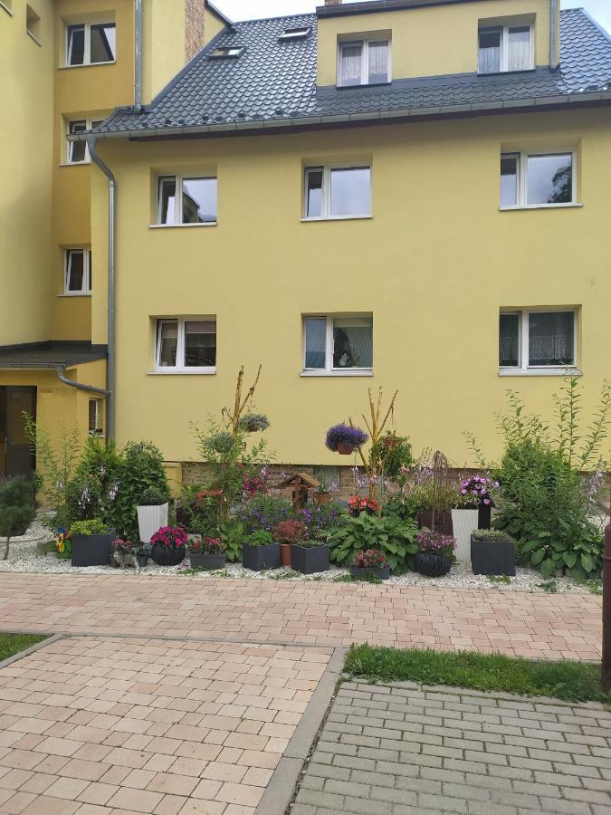 Ferienwohnung Mieszkanie / Apartament Centrum Blisko Szlakow I Wyciagow !!! Schreiberhau Exterior foto